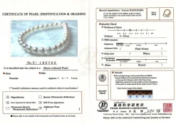 White Japanese Hanadama Akoya Pearl Bracelet, 7.0-7.5mm